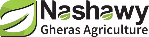 Gheras Nashawy