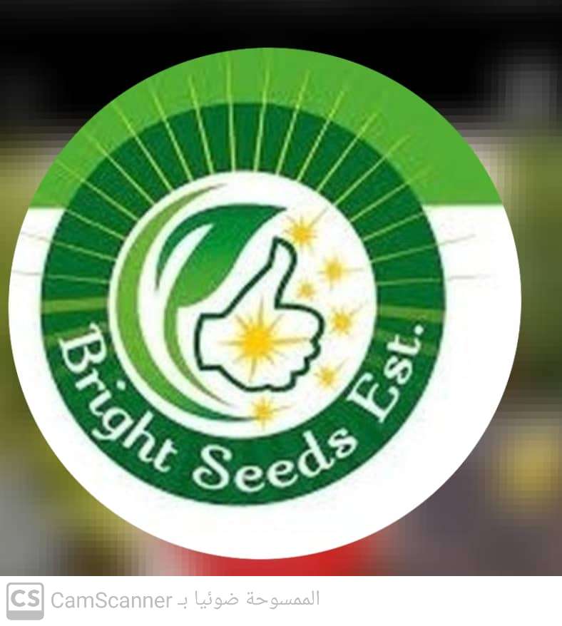 Bright seeds