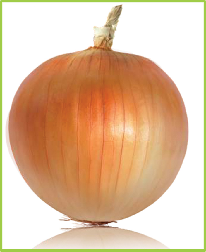 Onion Bayersoy