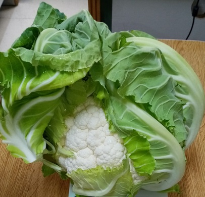  Cauliflower QAMAR F1
