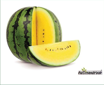   Watermelon Yellow Star F1