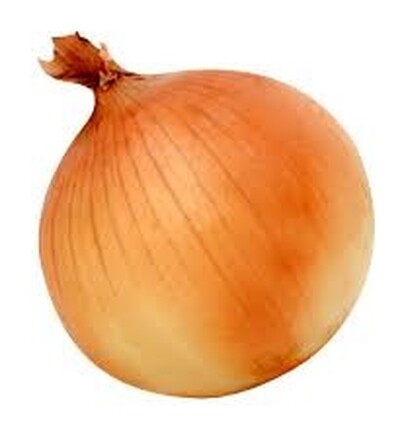 Onion BAYERSINA