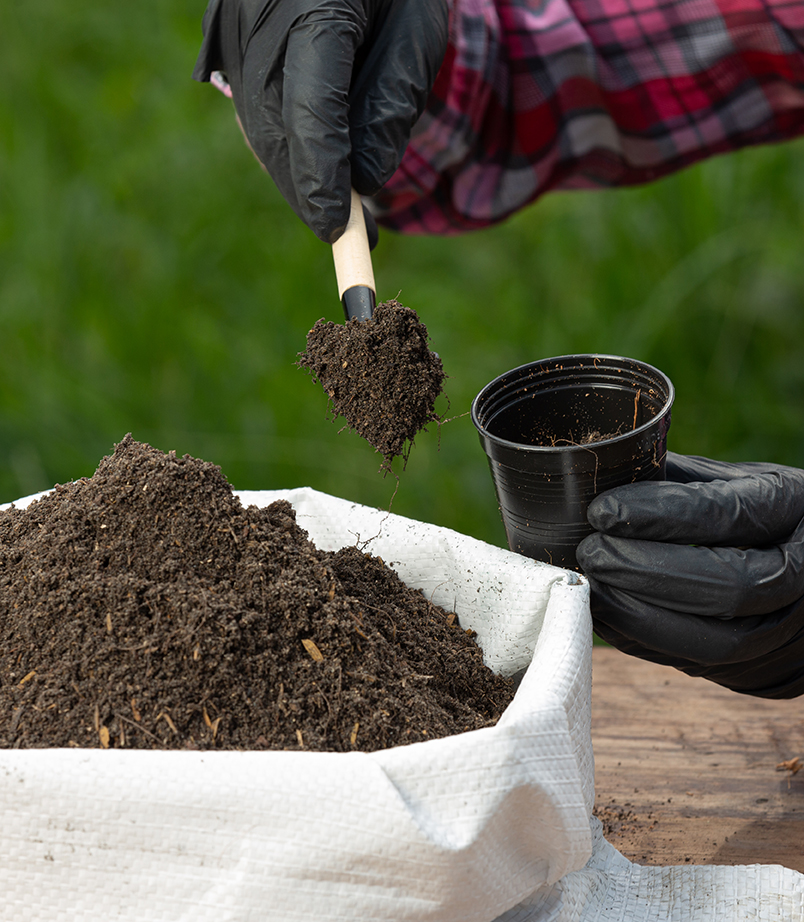 Fertilizers