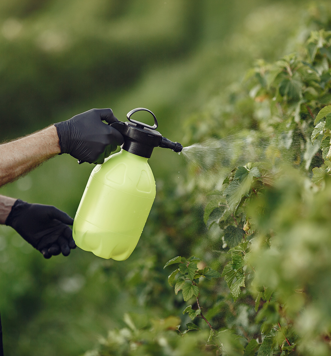 Pesticides